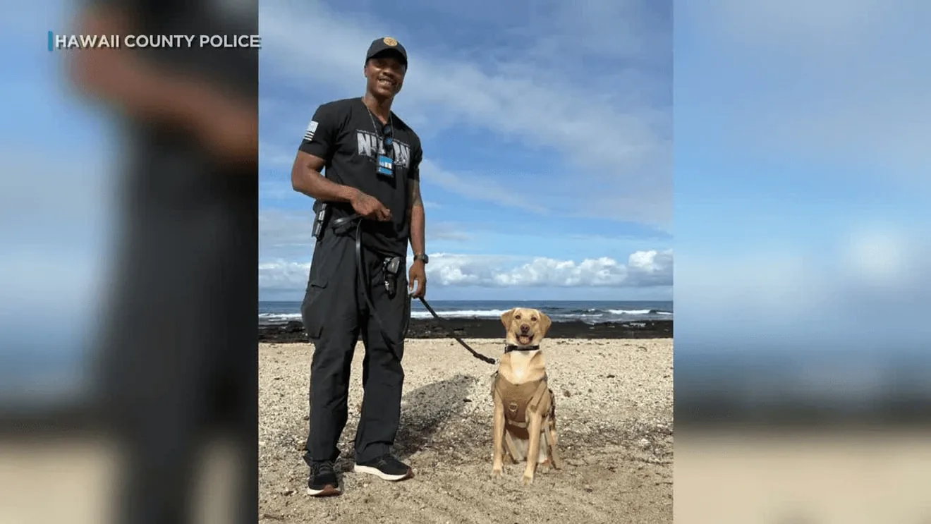 Police Dog Trina Helps Find Elderly Hiker Missing for Nearly Two Days in Hawaii Volcanoes National Park After Rainy Nighttime Search