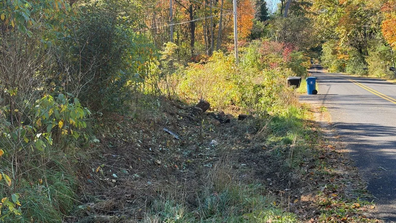 Two Mattawan High School Students Die and Three Others Are Critically Injured After Early Morning Crash in Texas Township