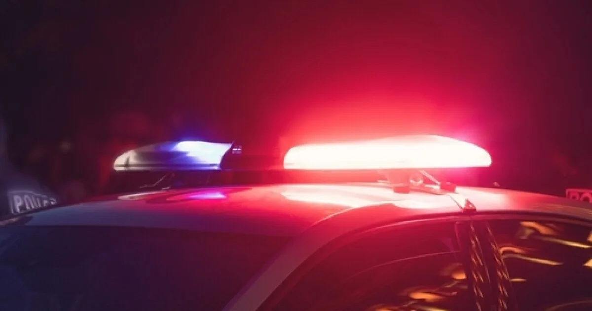 Two Mattawan High School Students Die and Three Others Are Critically Hurt After Early Morning Crash in Texas Township, Investigators Say
